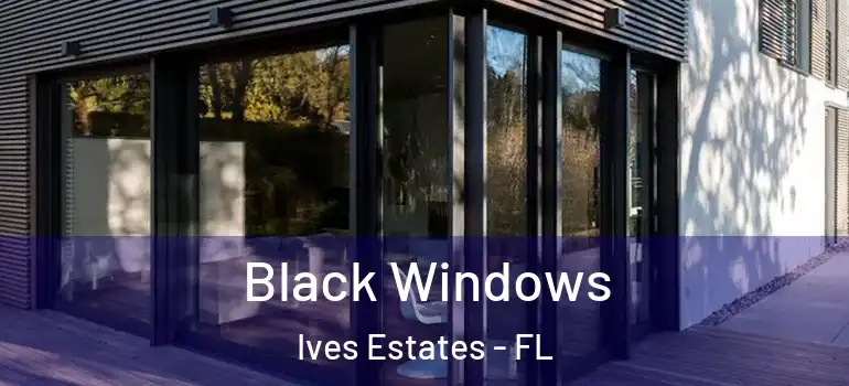 Black Windows Ives Estates - FL