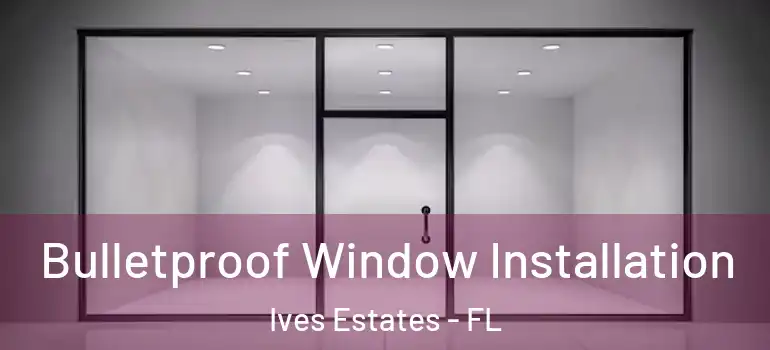  Bulletproof Window Installation Ives Estates - FL