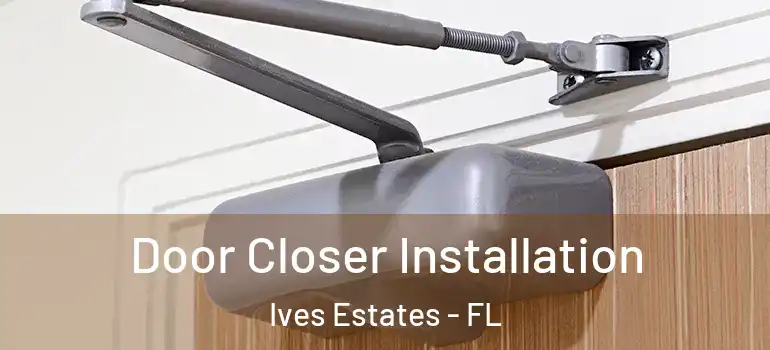  Door Closer Installation Ives Estates - FL