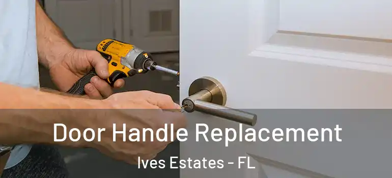  Door Handle Replacement Ives Estates - FL