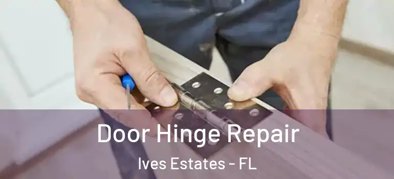  Door Hinge Repair Ives Estates - FL