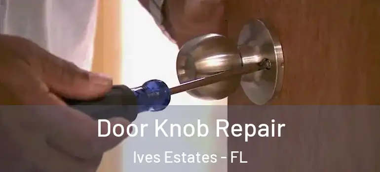  Door Knob Repair Ives Estates - FL
