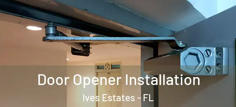  Door Opener Installation Ives Estates - FL