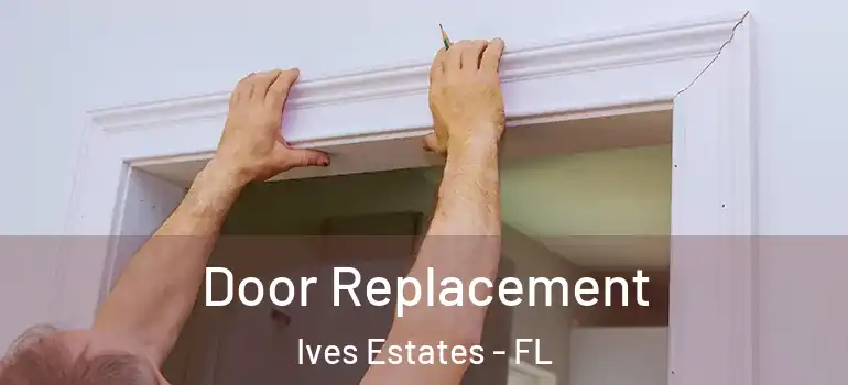  Door Replacement Ives Estates - FL