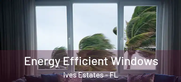  Energy Efficient Windows Ives Estates - FL