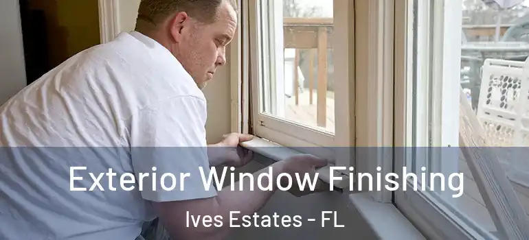  Exterior Window Finishing Ives Estates - FL