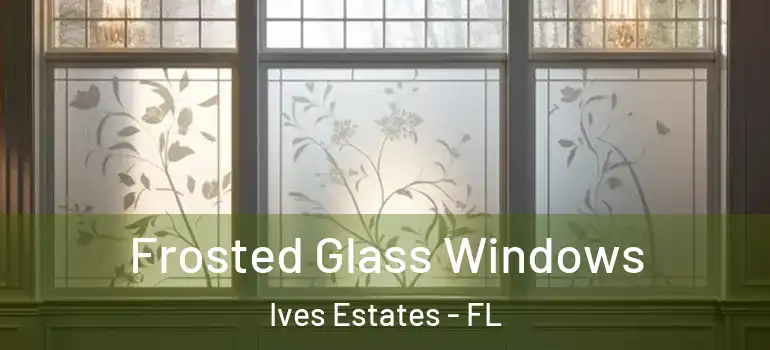  Frosted Glass Windows Ives Estates - FL