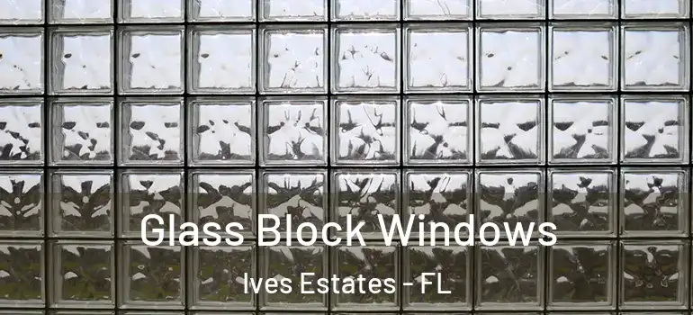  Glass Block Windows Ives Estates - FL