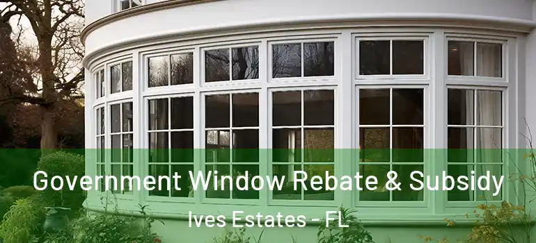  Government Window Rebate & Subsidy Ives Estates - FL