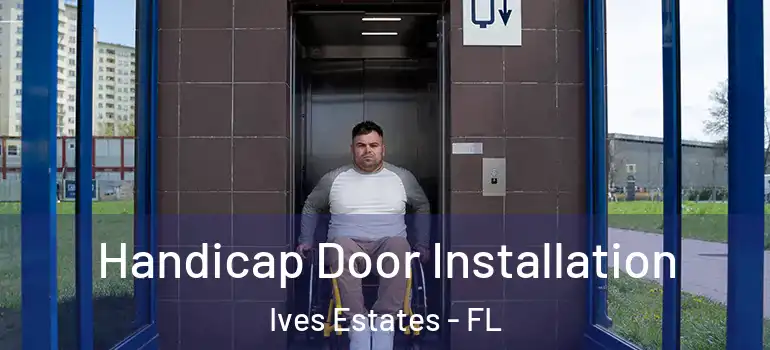  Handicap Door Installation Ives Estates - FL