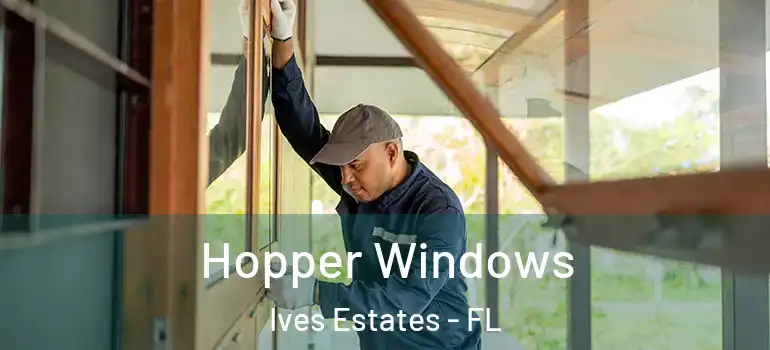  Hopper Windows Ives Estates - FL