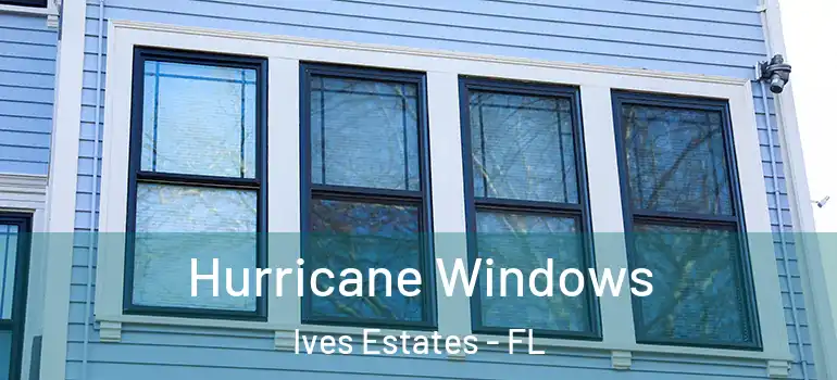  Hurricane Windows Ives Estates - FL