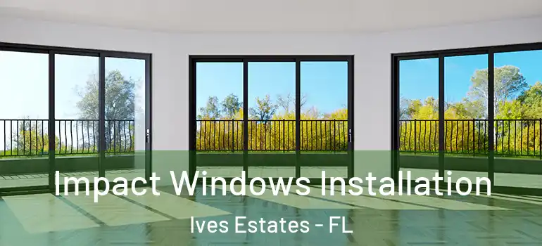  Impact Windows Installation Ives Estates - FL