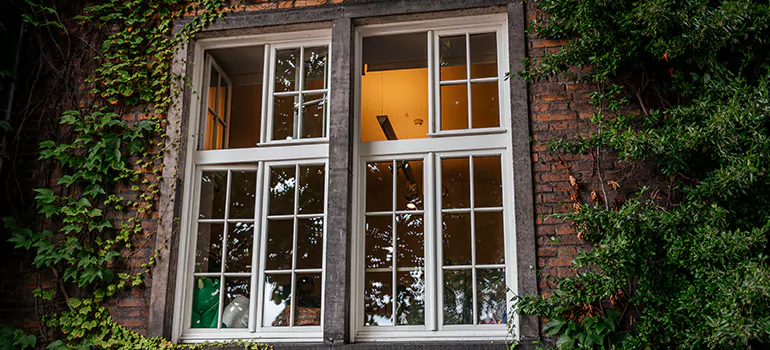 Energy Efficient Wood Windows in Ives Estates, FL