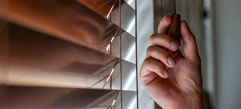 Double Roller Blinds in Ives Estates, FL