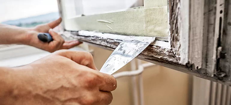 Exterior Window Frame Repair in Ives Estates, FL
