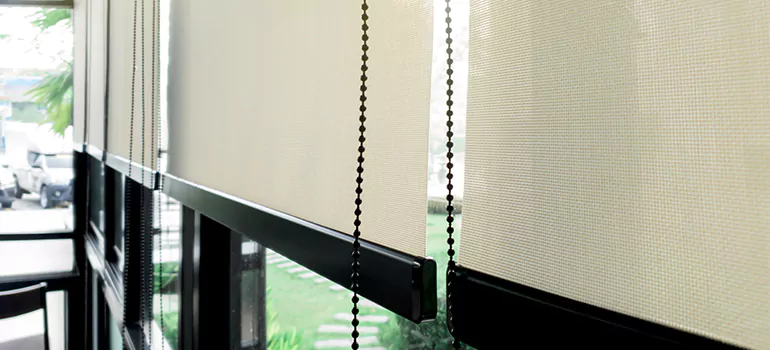 Blackout Window Shades in Ives Estates, FL