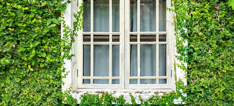 Garden Window Repair Near Me in Ives Estates, FL