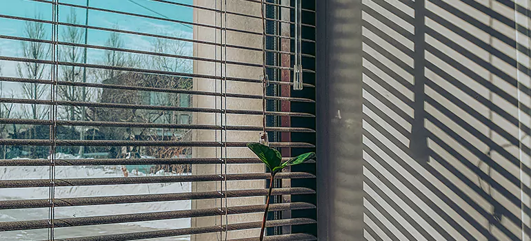 Commercial Window Blinds in Ives Estates, FL