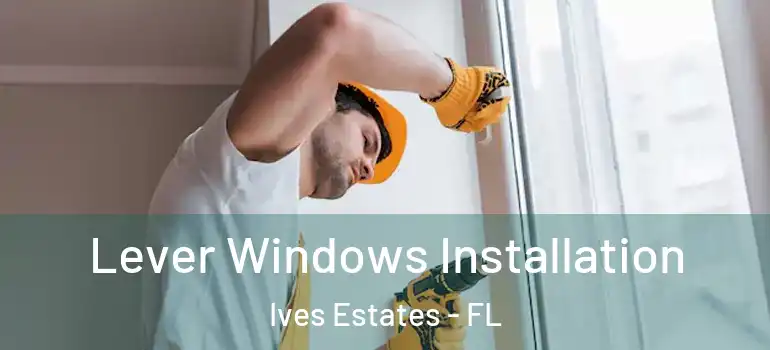  Lever Windows Installation Ives Estates - FL