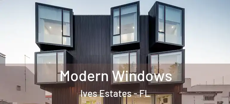  Modern Windows Ives Estates - FL