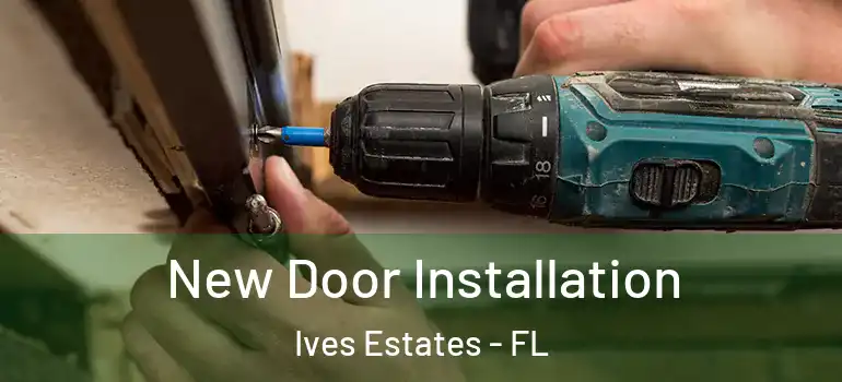  New Door Installation Ives Estates - FL