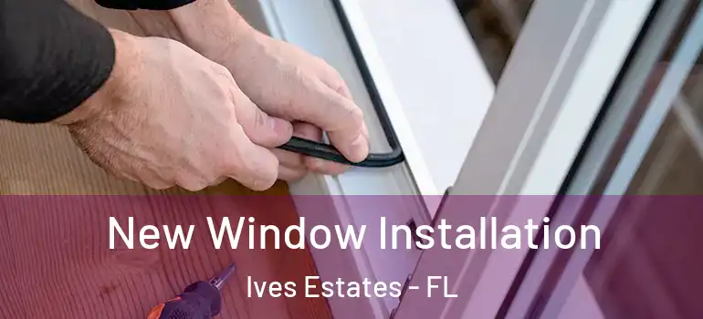  New Window Installation Ives Estates - FL