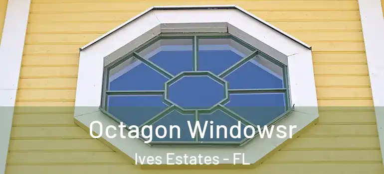  Octagon Windowsr Ives Estates - FL