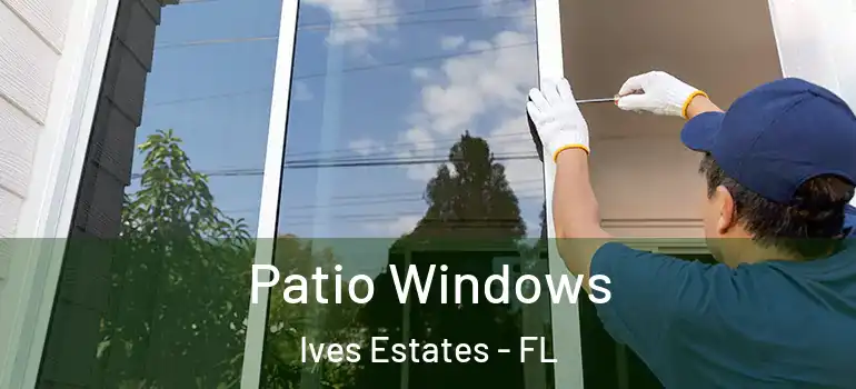  Patio Windows Ives Estates - FL