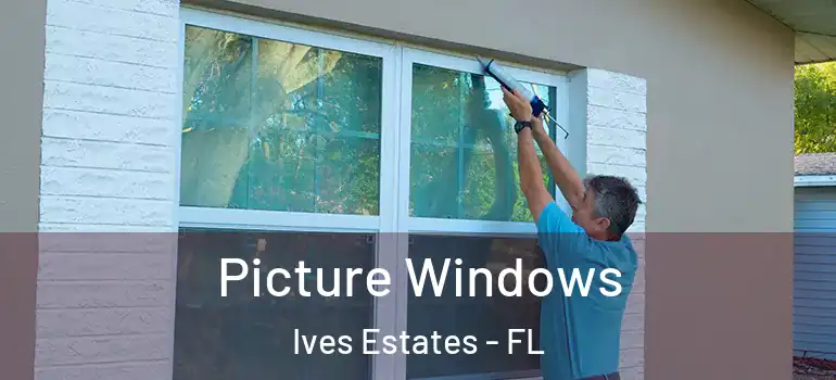  Picture Windows Ives Estates - FL