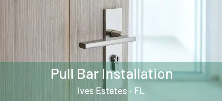  Pull Bar Installation Ives Estates - FL