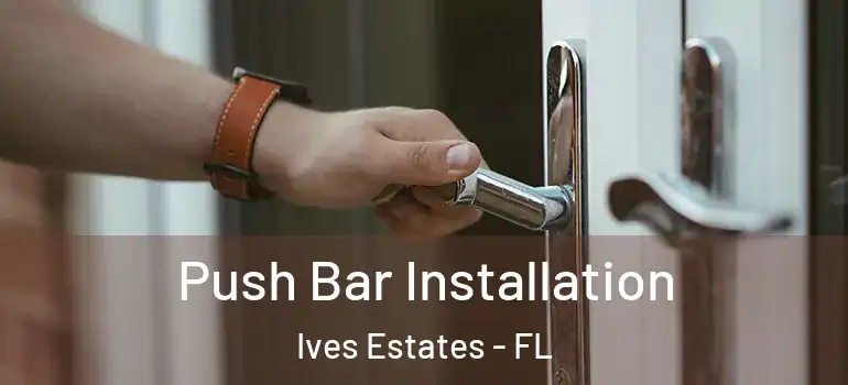  Push Bar Installation Ives Estates - FL