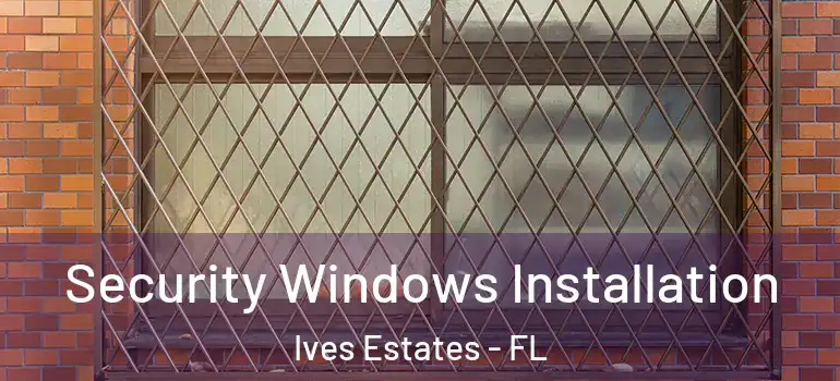  Security Windows Installation Ives Estates - FL