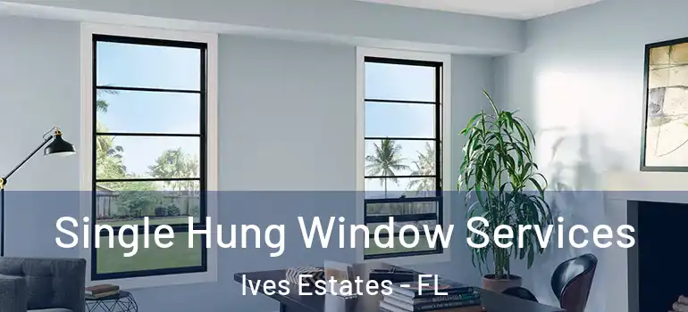 Single Hung Window Services Ives Estates - FL