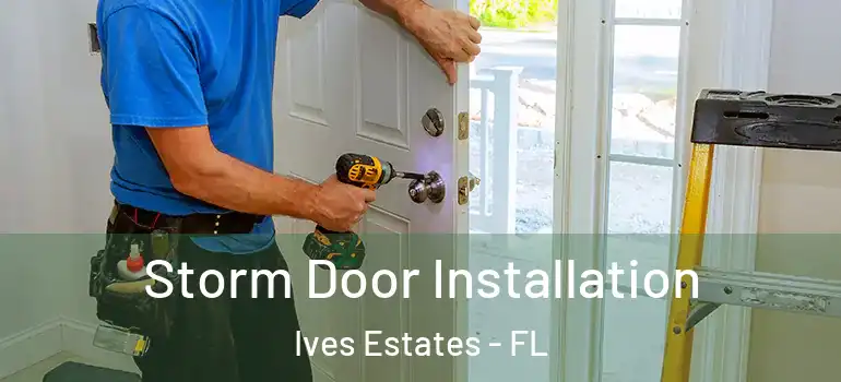  Storm Door Installation Ives Estates - FL