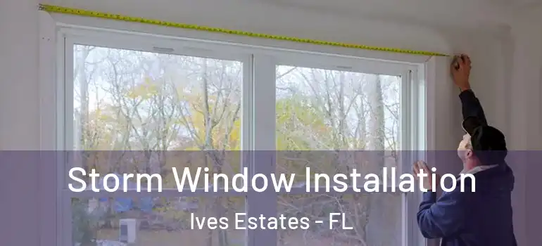  Storm Window Installation Ives Estates - FL