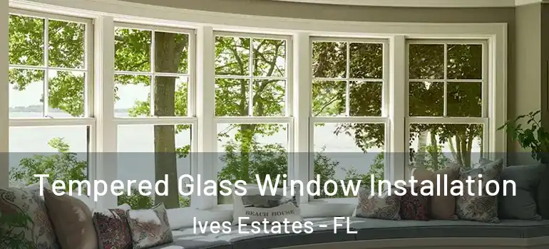  Tempered Glass Window Installation Ives Estates - FL