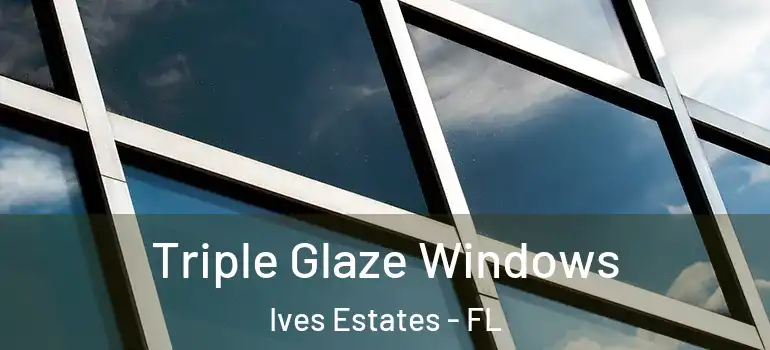  Triple Glaze Windows Ives Estates - FL