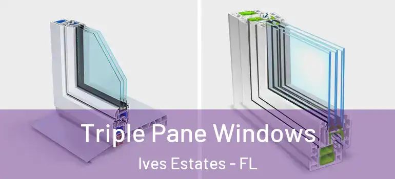 Triple Pane Windows Ives Estates - FL