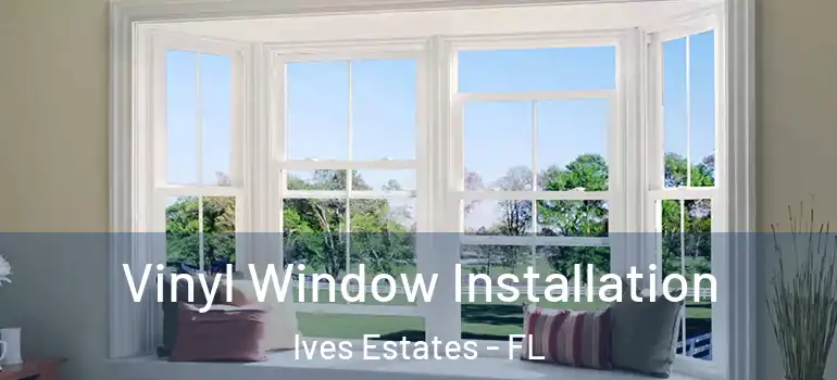  Vinyl Window Installation Ives Estates - FL