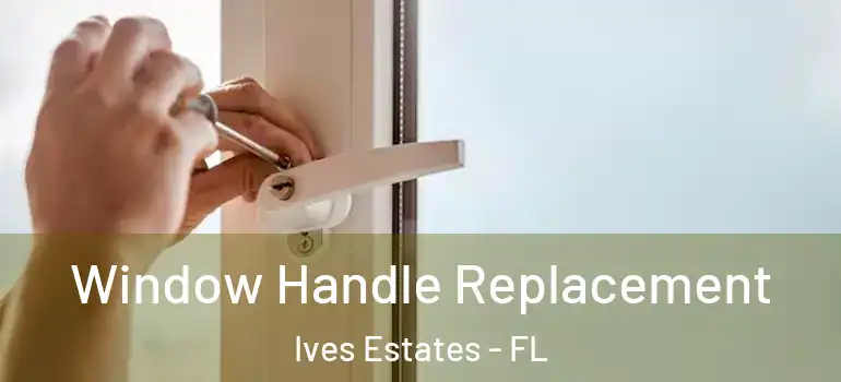  Window Handle Replacement Ives Estates - FL