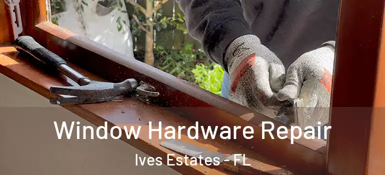  Window Hardware Repair Ives Estates - FL