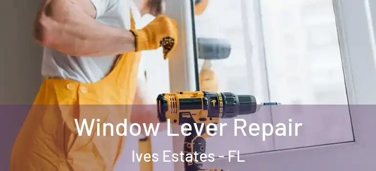  Window Lever Repair Ives Estates - FL