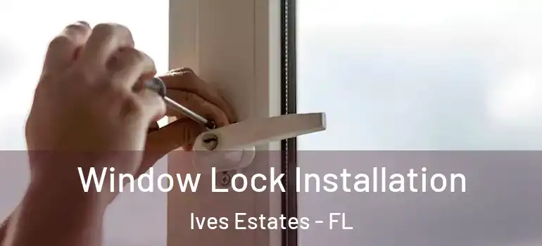  Window Lock Installation Ives Estates - FL