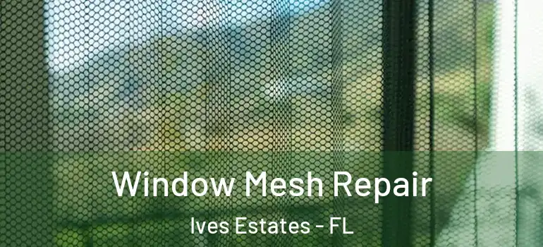  Window Mesh Repair Ives Estates - FL