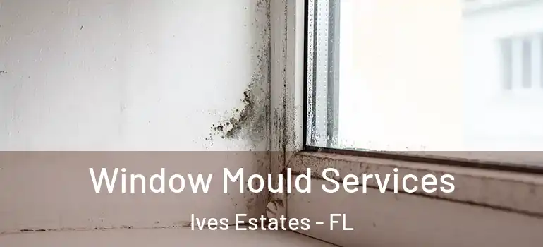  Window Mould Services Ives Estates - FL