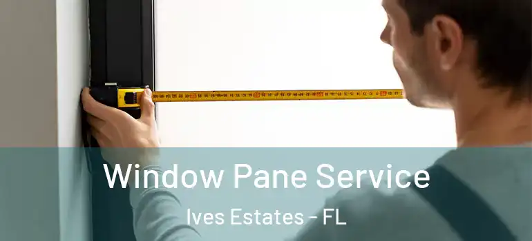  Window Pane Service Ives Estates - FL