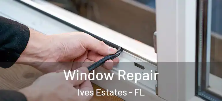  Window Repair Ives Estates - FL