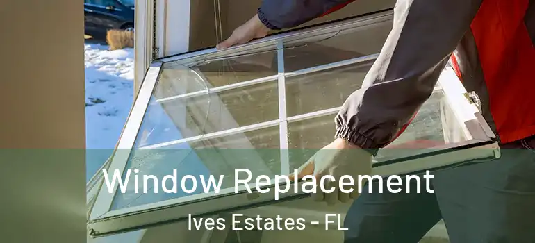  Window Replacement Ives Estates - FL