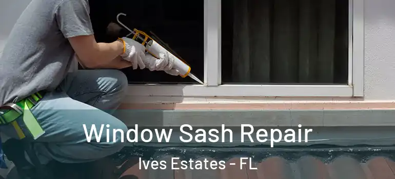  Window Sash Repair Ives Estates - FL